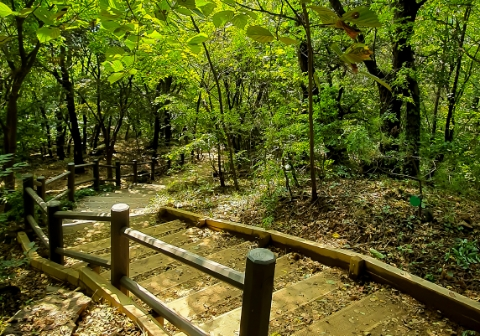 서울관광재단이 추천하는 서울 댕댕이 산책코스 7선 - 광진구