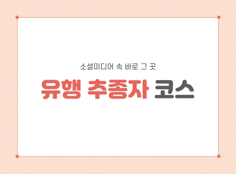 유행 추종자 코스
