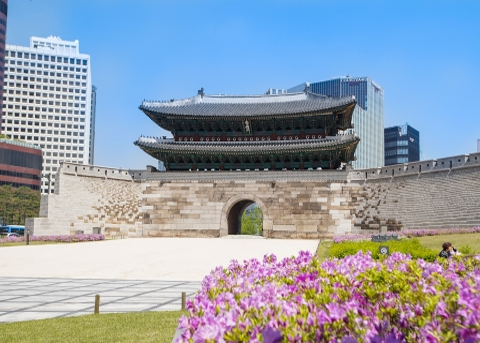 세종대로 사람숲길